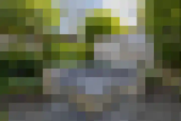 De Havik 5 Almelo thumbnail 28