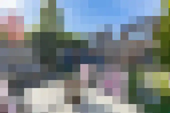 De Havik 5 Almelo thumbnail 29