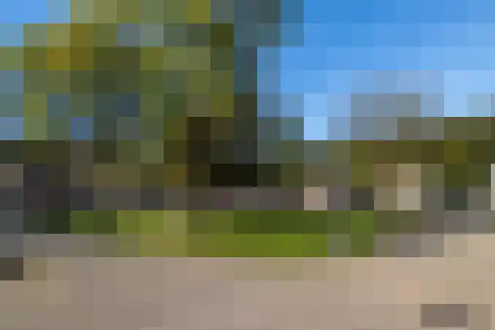 De Havik 5 Almelo thumbnail 34