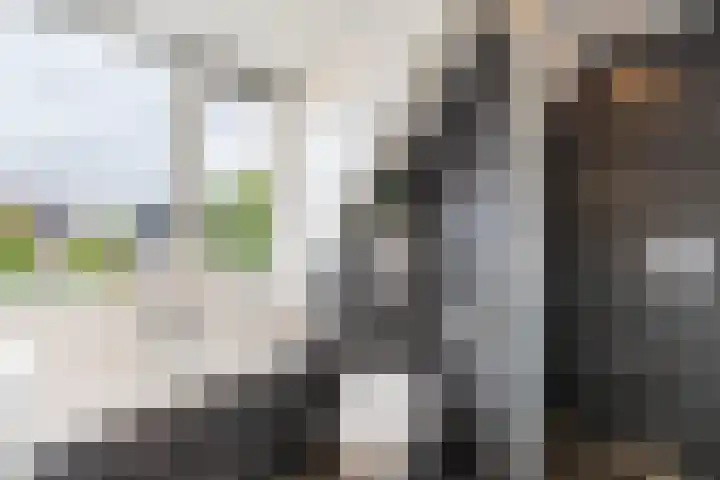 De Havik 5 Almelo thumbnail 4