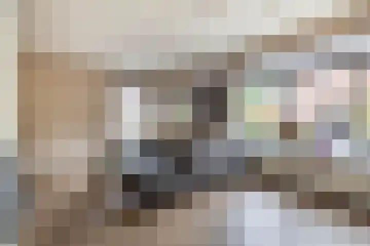 De Havik 5 Almelo thumbnail 8