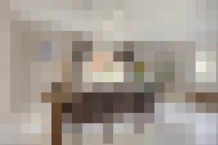 de Havik 6 Denekamp thumbnail 10