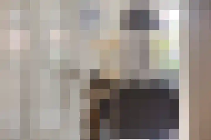 de Havik 6 Denekamp thumbnail 11