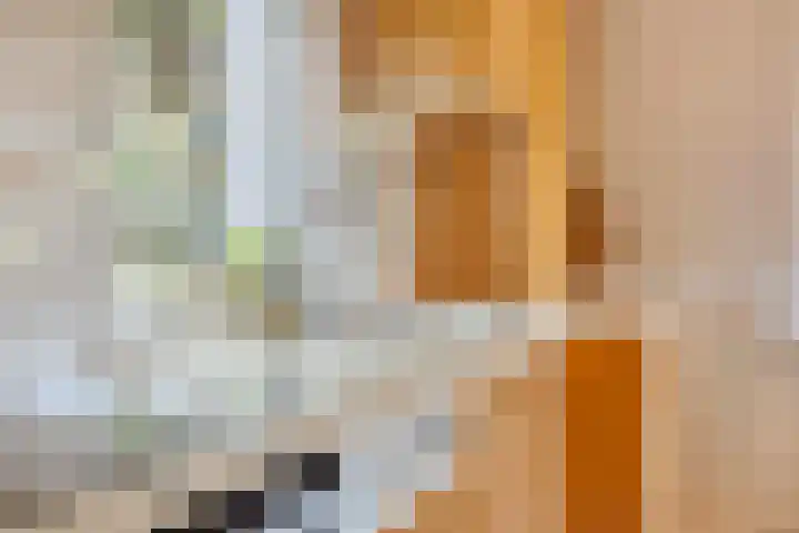 de Havik 6 Denekamp thumbnail 13