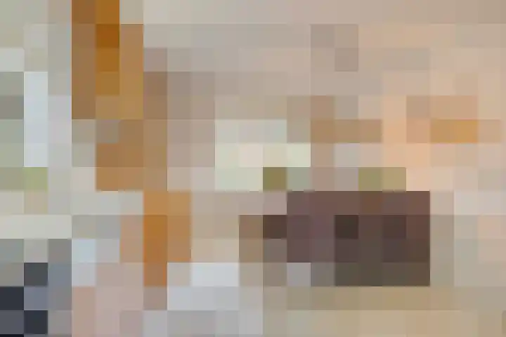 de Havik 6 Denekamp thumbnail 15