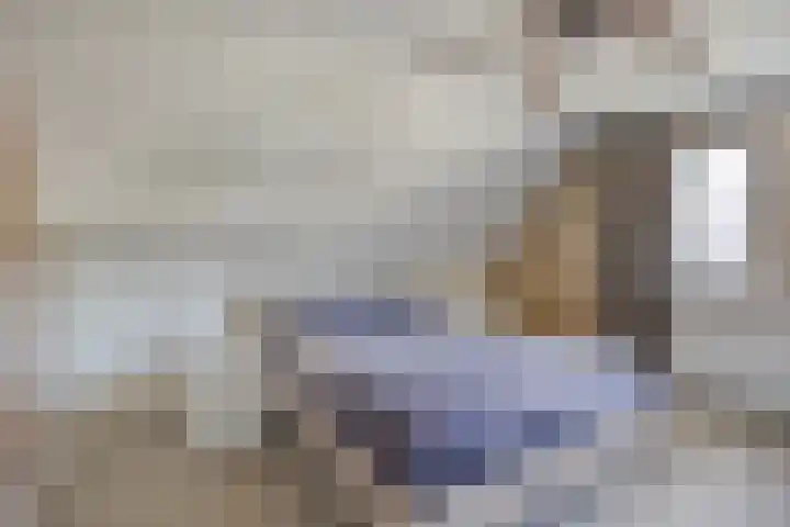 de Havik 6 Denekamp thumbnail 21