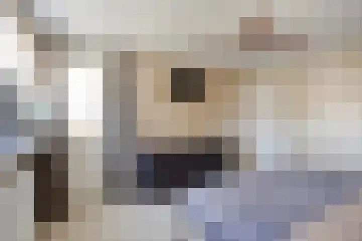 de Havik 6 Denekamp thumbnail 22