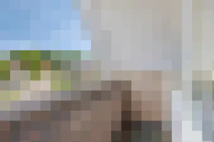 de Havik 6 Denekamp thumbnail 23