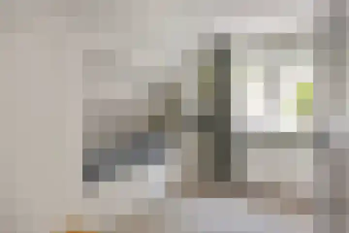 de Havik 6 Denekamp thumbnail 24