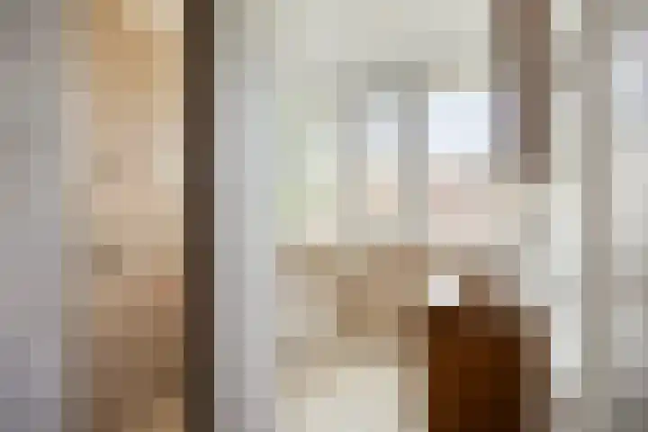 de Havik 6 Denekamp thumbnail 26