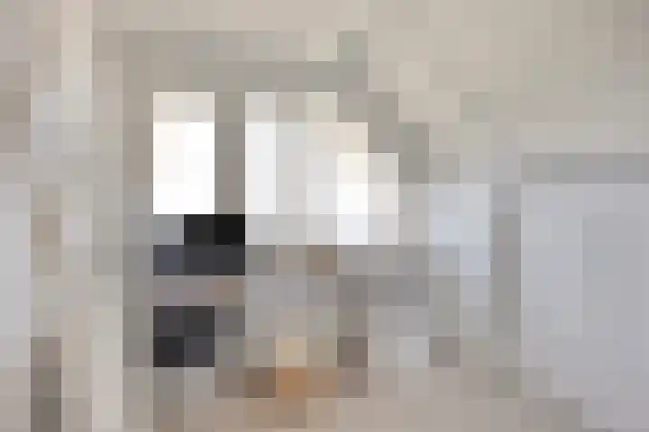 de Havik 6 Denekamp thumbnail 28