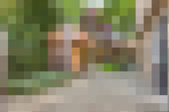 de Havik 6 Denekamp thumbnail 30