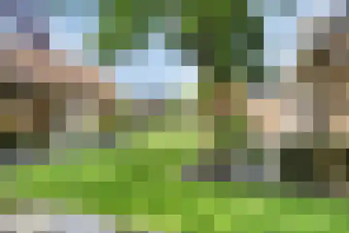 de Havik 6 Denekamp thumbnail 31