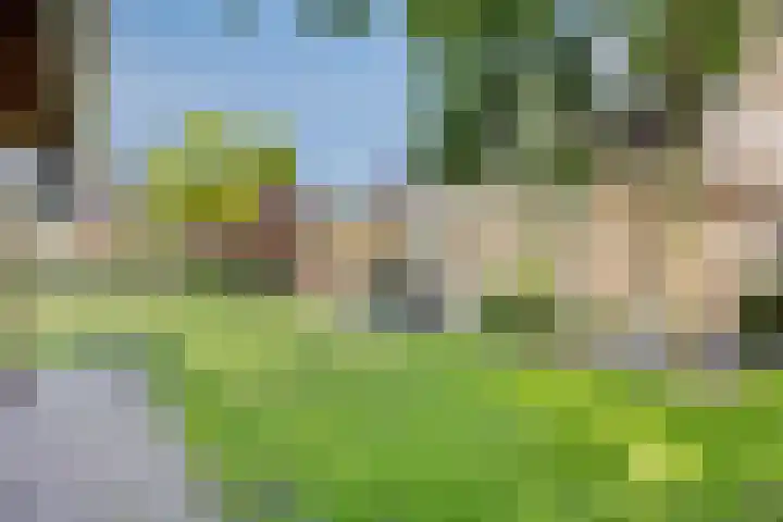 de Havik 6 Denekamp thumbnail 32