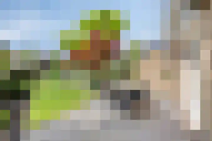 de Havik 6 Denekamp thumbnail 33