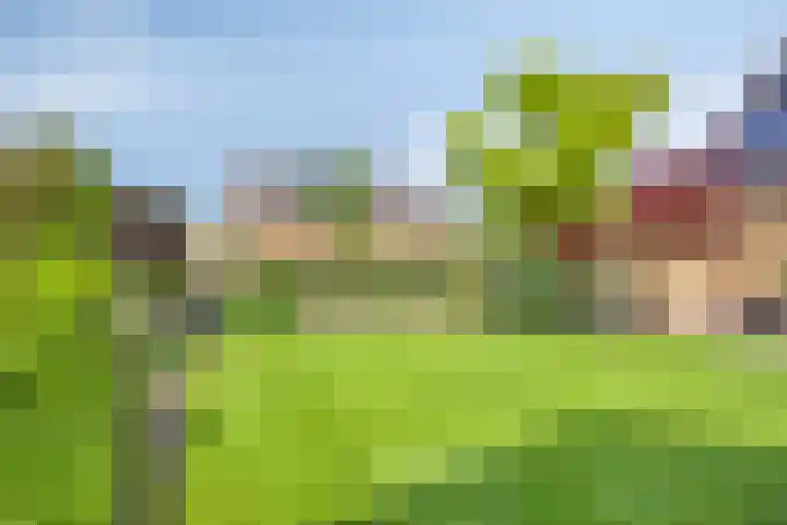 de Havik 6 Denekamp thumbnail 34