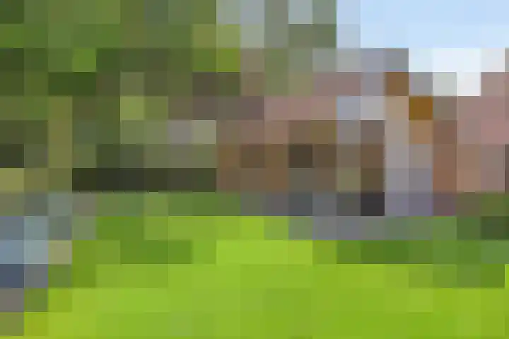 de Havik 6 Denekamp thumbnail 35