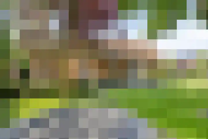 de Havik 6 Denekamp thumbnail 36