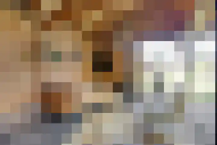 de Havik 6 Denekamp thumbnail 37