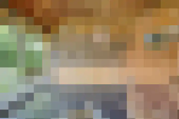 de Havik 6 Denekamp thumbnail 38