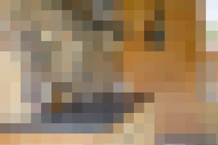de Havik 6 Denekamp thumbnail 39