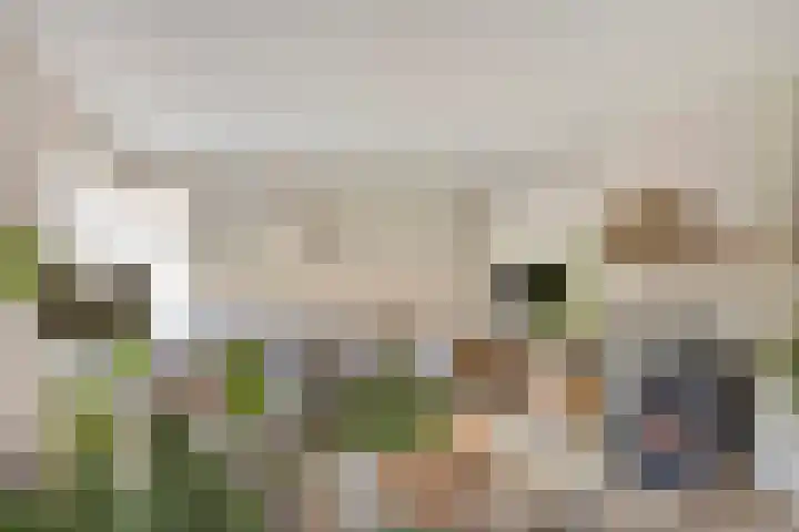 de Havik 6 Denekamp thumbnail 4