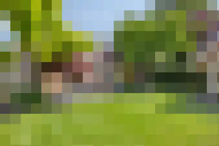 de Havik 6 Denekamp thumbnail 40