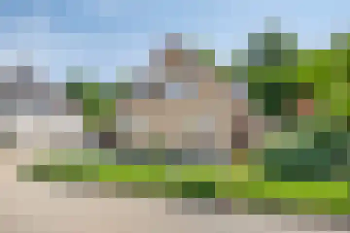 de Havik 6 Denekamp thumbnail 43