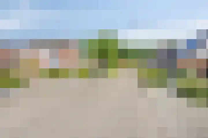 de Havik 6 Denekamp thumbnail 44