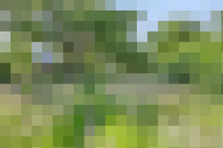 de Havik 6 Denekamp thumbnail 46