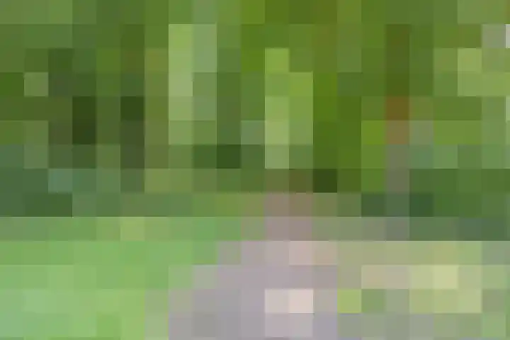 de Havik 6 Denekamp thumbnail 47