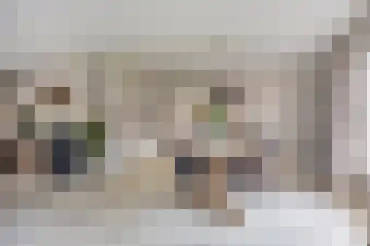 de Havik 6 Denekamp thumbnail 8