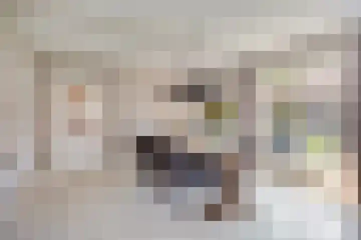 de Havik 6 Denekamp thumbnail 9