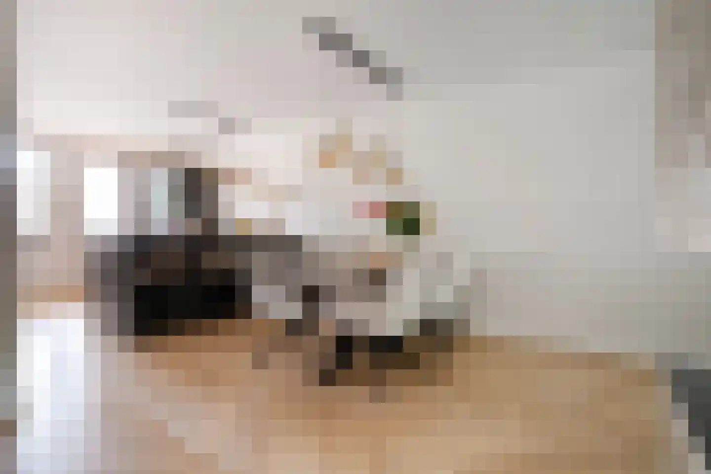 De Havik 77 Almelo thumbnail 10