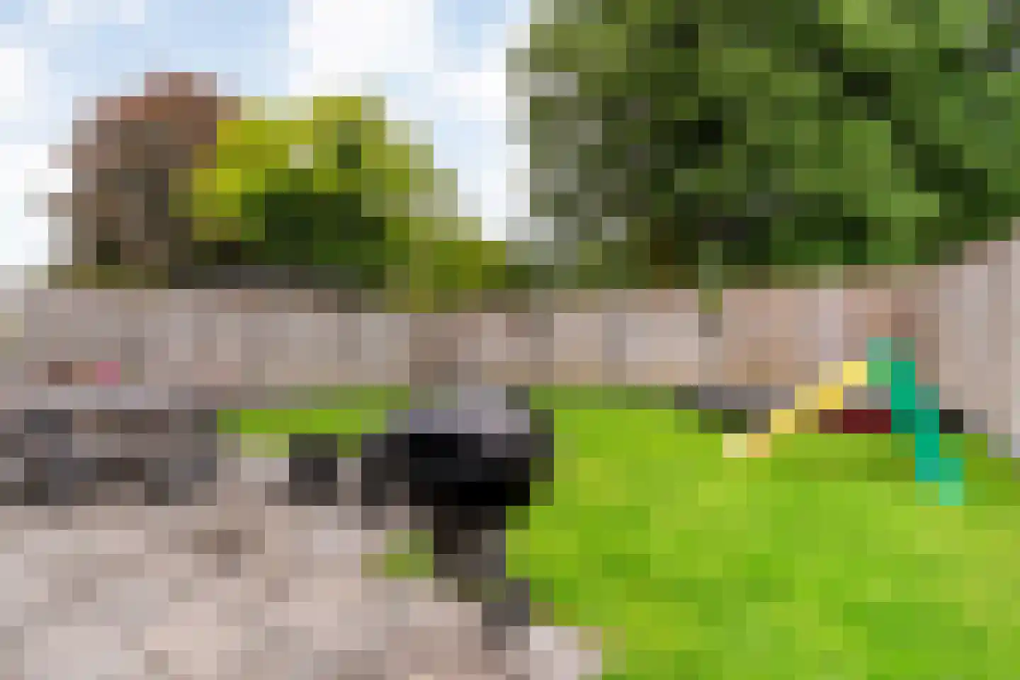 De Havik 77 Almelo thumbnail 33