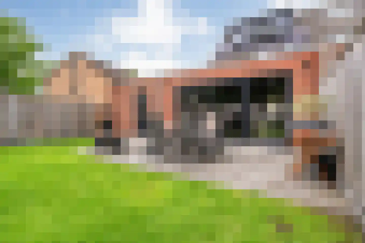 De Havik 77 Almelo thumbnail 35