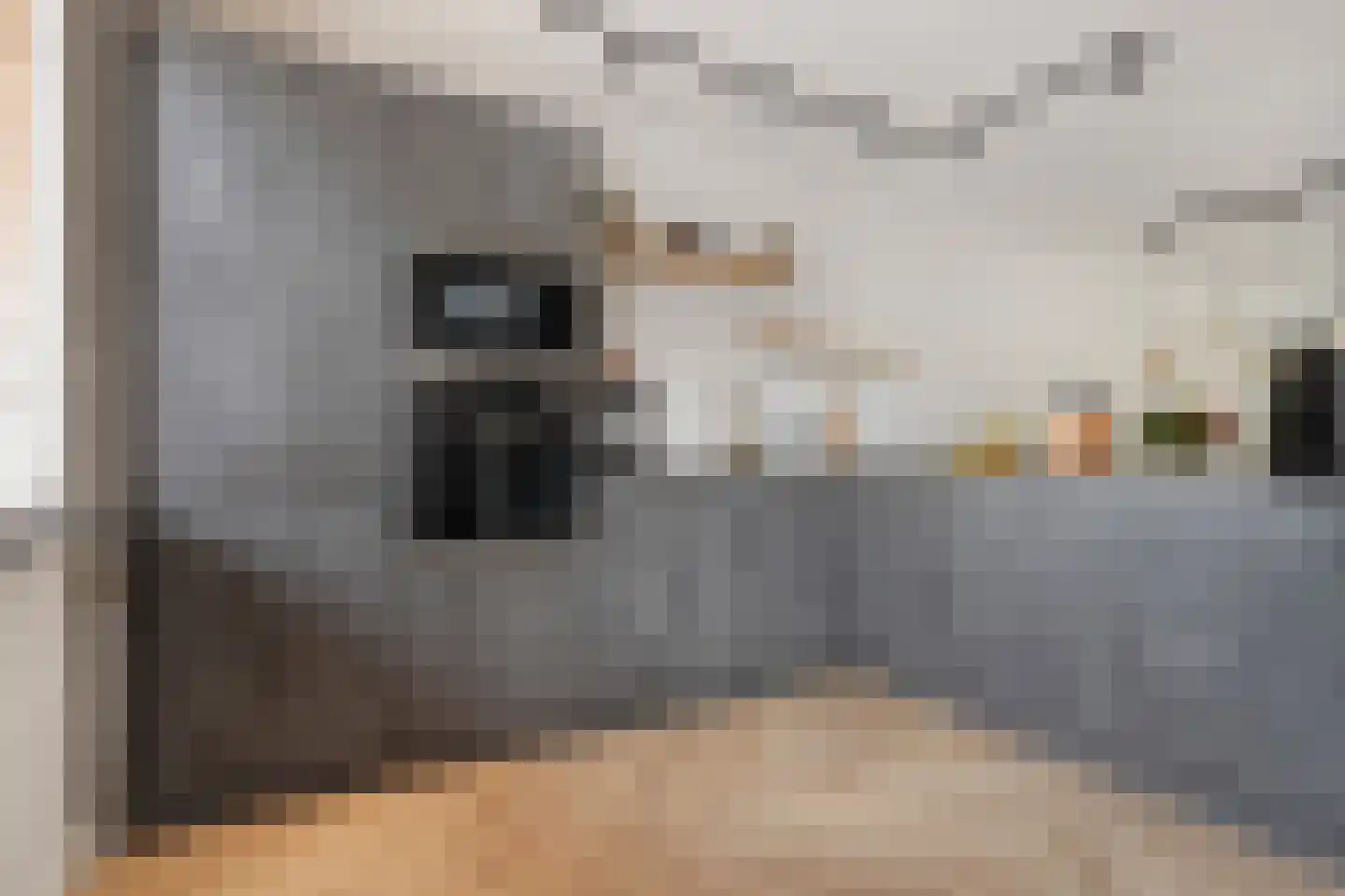 De Havik 77 Almelo thumbnail 6