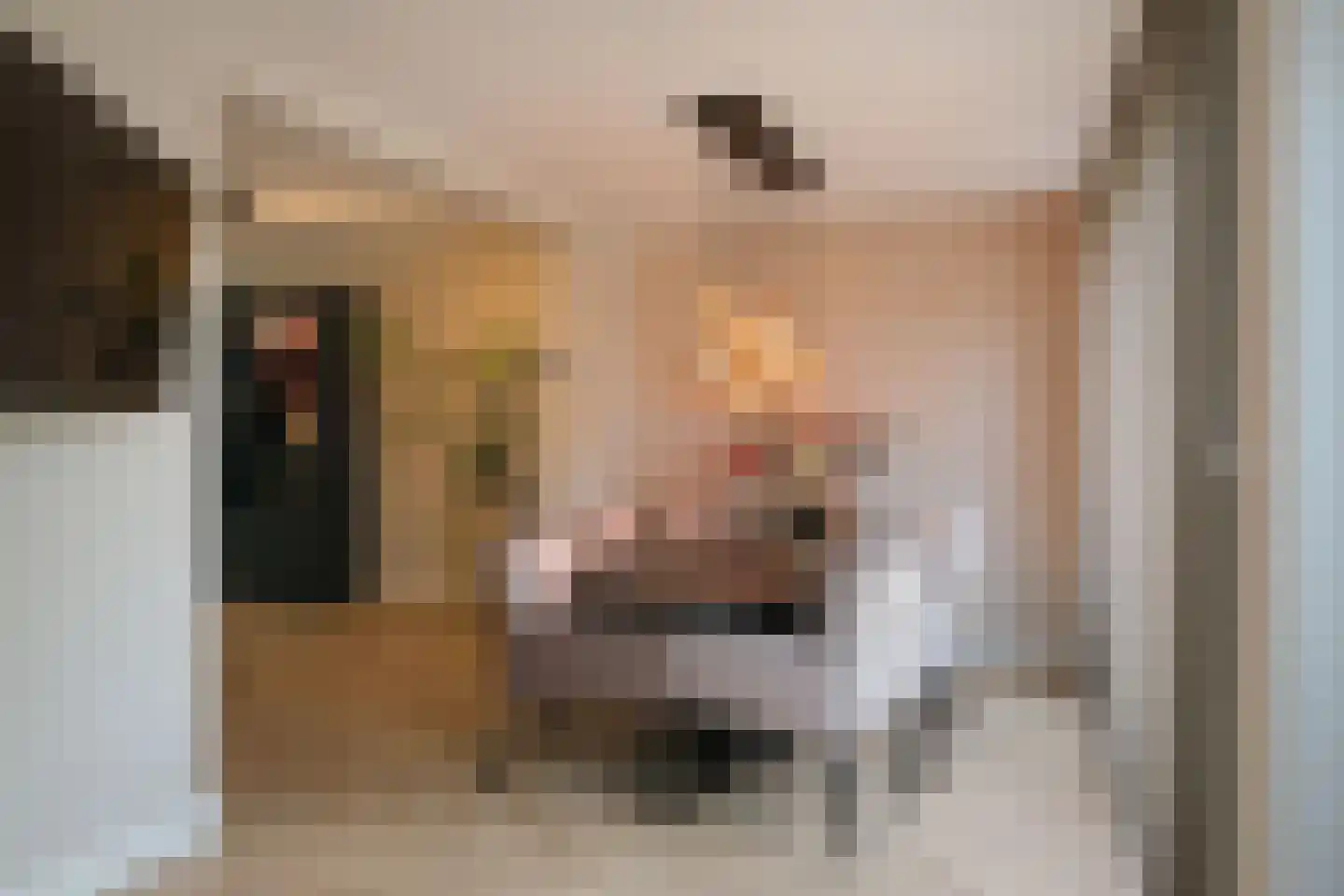 De Havik 89 Almelo thumbnail 12