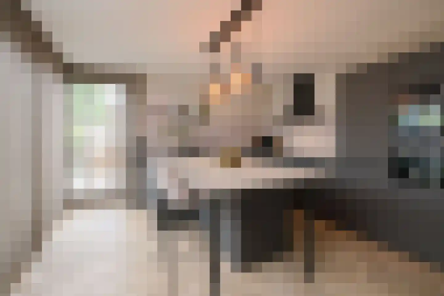 De Havik 89 Almelo thumbnail 17