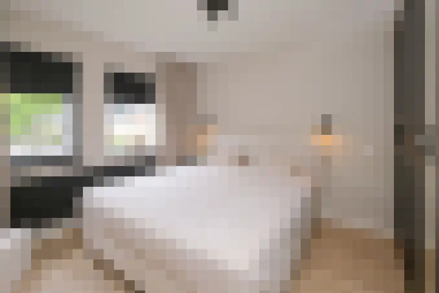 De Havik 89 Almelo thumbnail 22