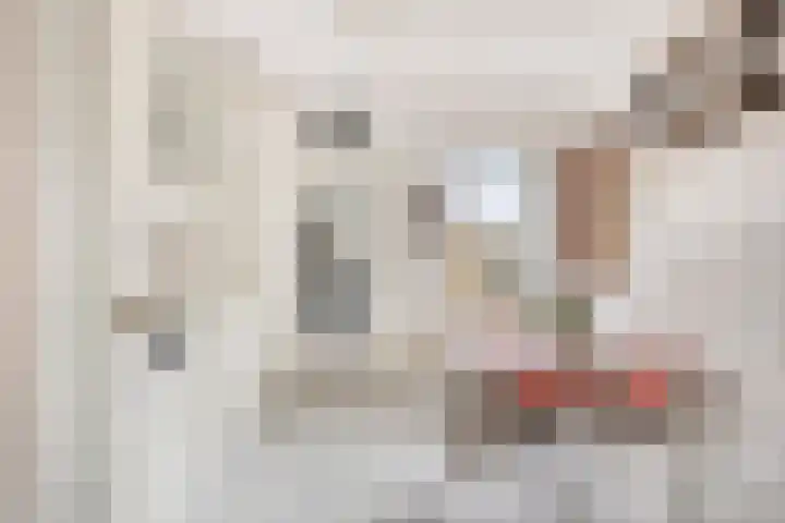 de Haymestraat 24 Margraten thumbnail 13