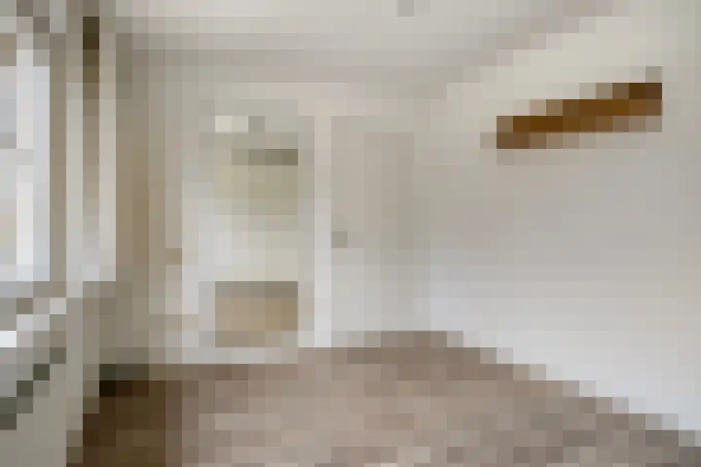 de Haymestraat 29 Margraten thumbnail 23
