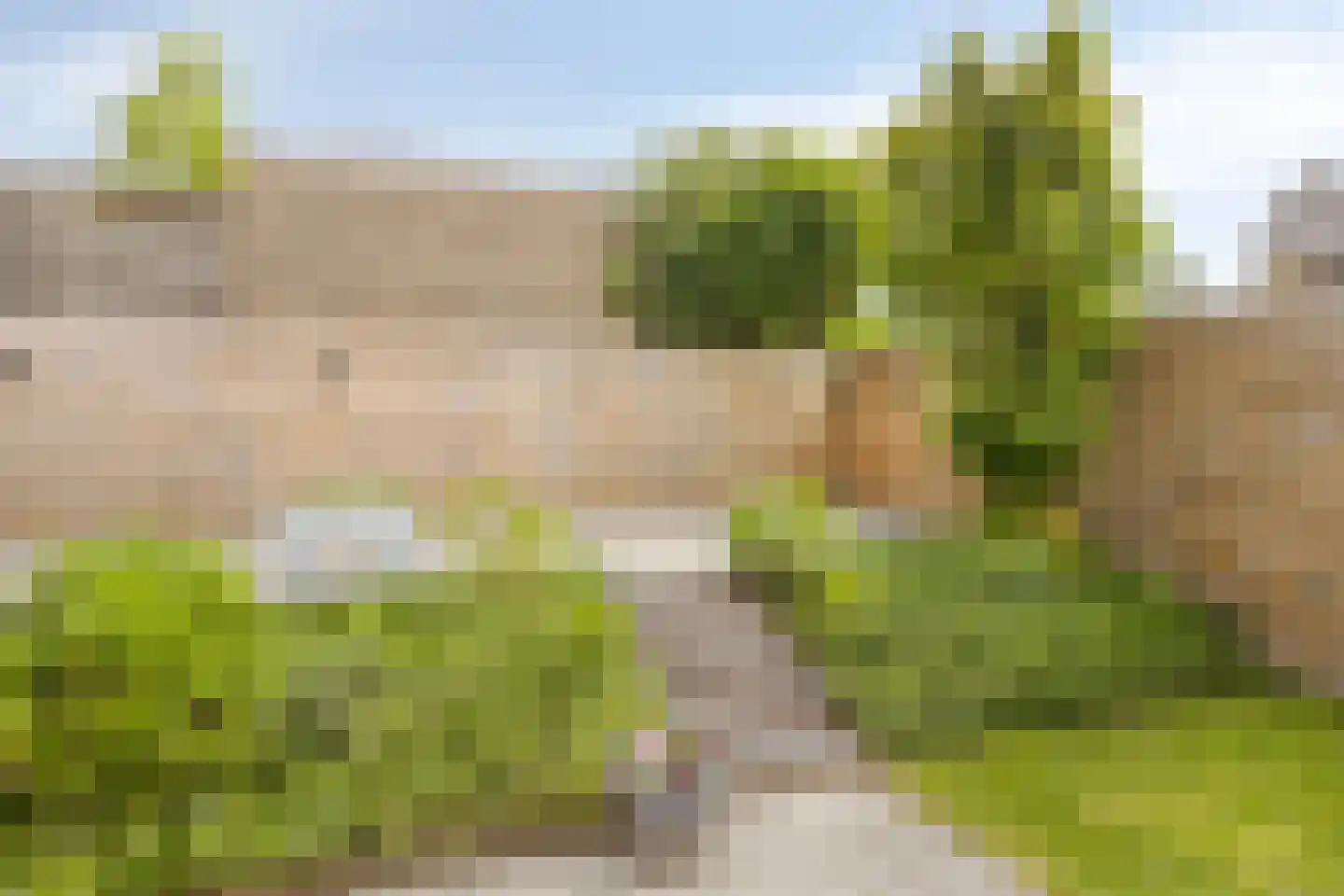 de Haymestraat 29 Margraten thumbnail 26