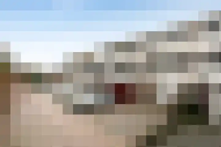 De Hazelaar 13 Zevenaar thumbnail 10