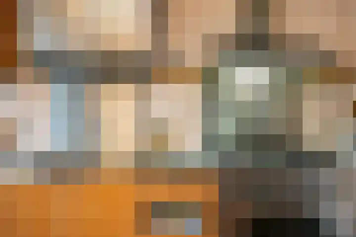 De Hazelaar 13 Zevenaar thumbnail 18
