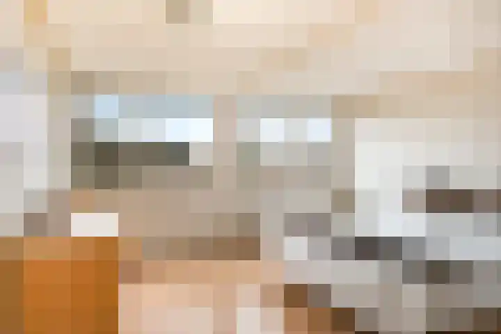 De Hazelaar 13 Zevenaar thumbnail 27