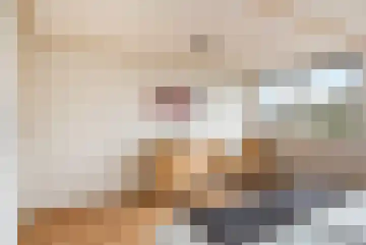De Hazelaar 13 Zevenaar thumbnail 29