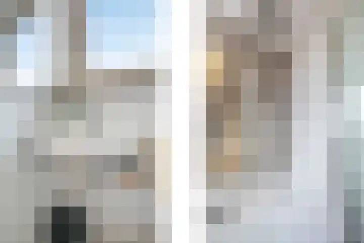 De Hazelaar 13 Zevenaar thumbnail 37