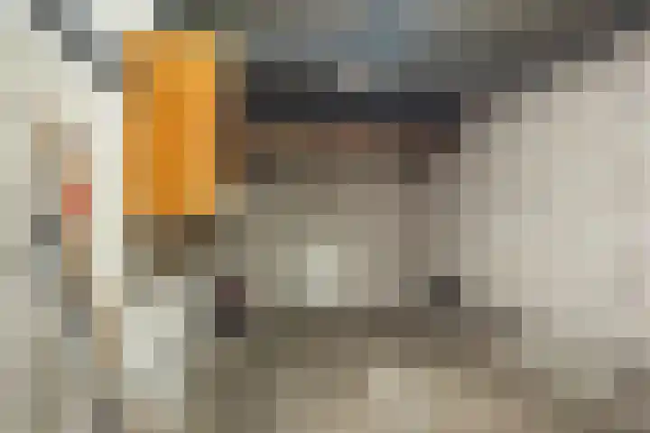 De Hazelaar 13 Zevenaar thumbnail 40