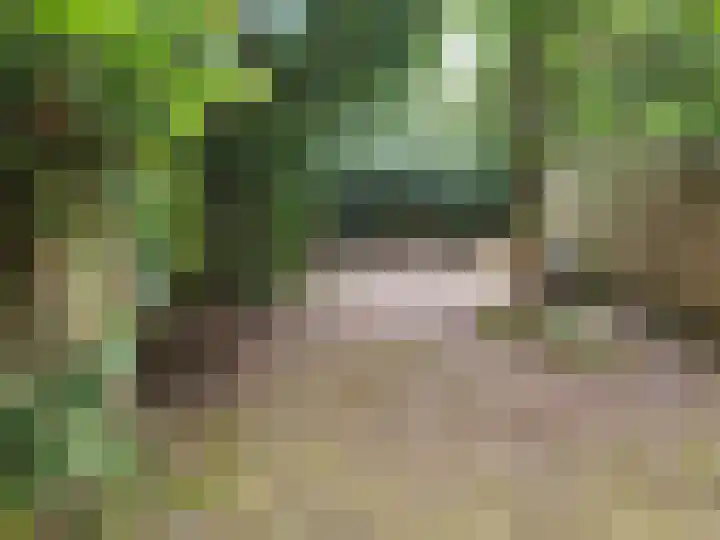 De Hazelaar 13 Zevenaar thumbnail 41